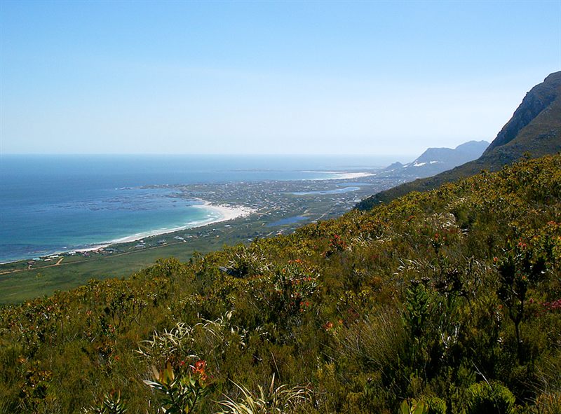 Bettys Bay